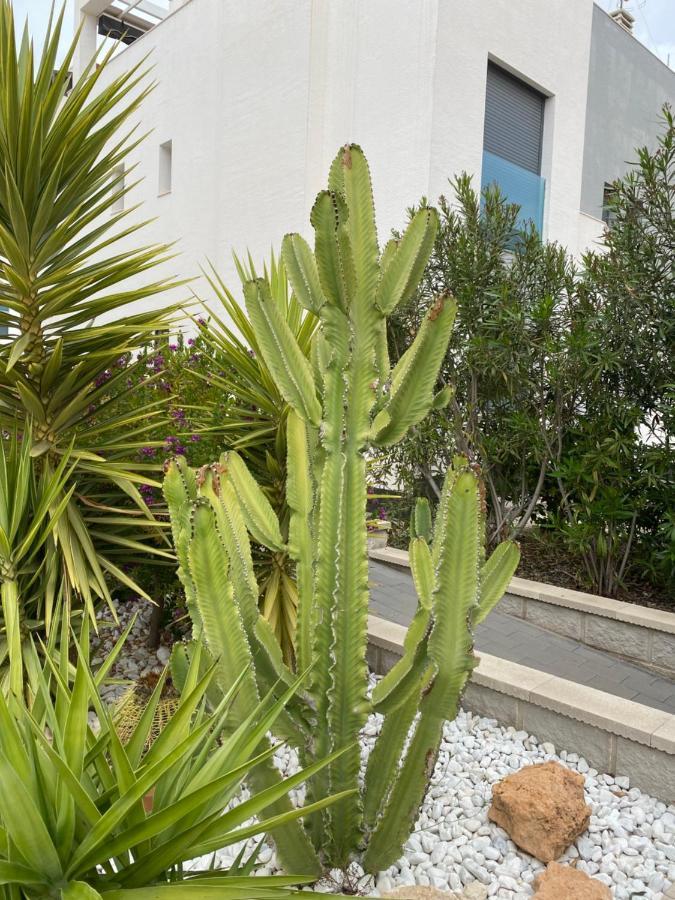 Oasis Beach Apartments Alicante Bagian luar foto