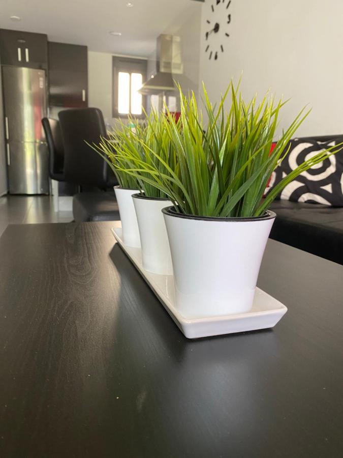 Oasis Beach Apartments Alicante Bagian luar foto